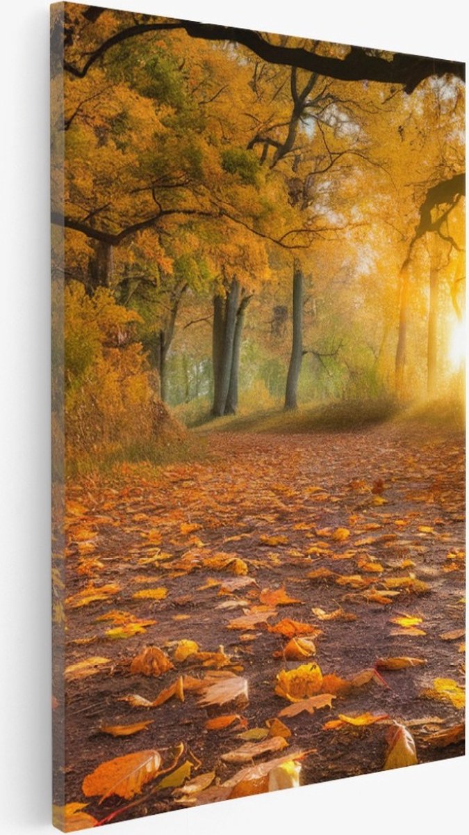 Saammp Canvas Schilderij - herfst pad - Rustgevend - Landschap - Natuur - 30x45 - Foto op canvas - Wanddecoratie - Muurdecoratie Woonkamer - Slaapkamer decoratie - Canvas Print Multicolor