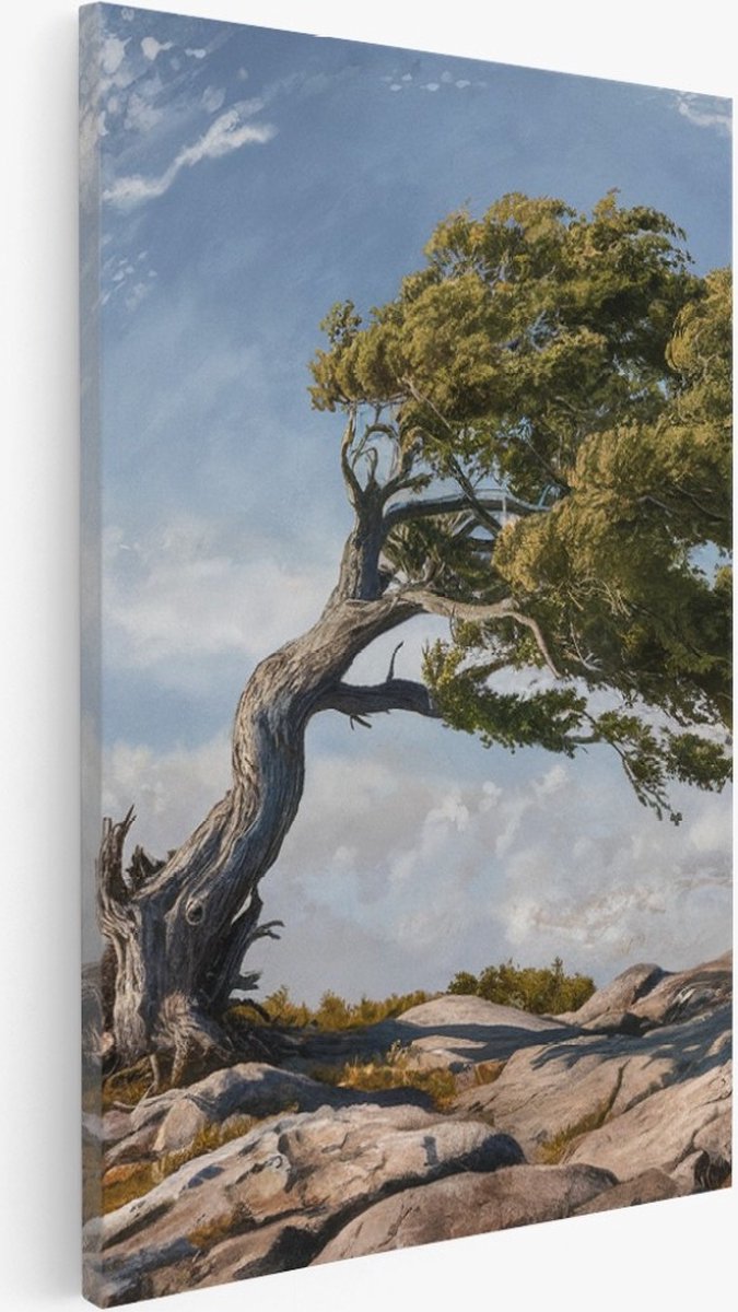 Saammp Canvas Schilderij - Vintage boom - Abstract - Landschap - Natuur - 30x45 - Foto op canvas - Wanddecoratie - Muurdecoratie Woonkamer - Slaapkamer decoratie - Canvas Print Multicolor
