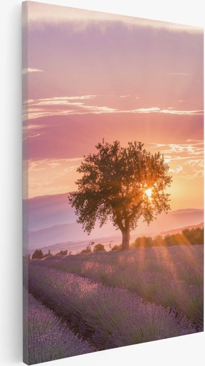 Saammp Canvas Schilderij - Lavendelveld met de zon tussen de boom - Natuur - Landschap - 60x90 - Foto op canvas - Wanddecoratie - Muurdecoratie Woonkamer - Slaapkamer decoratie - Canvas Print Multicolor
