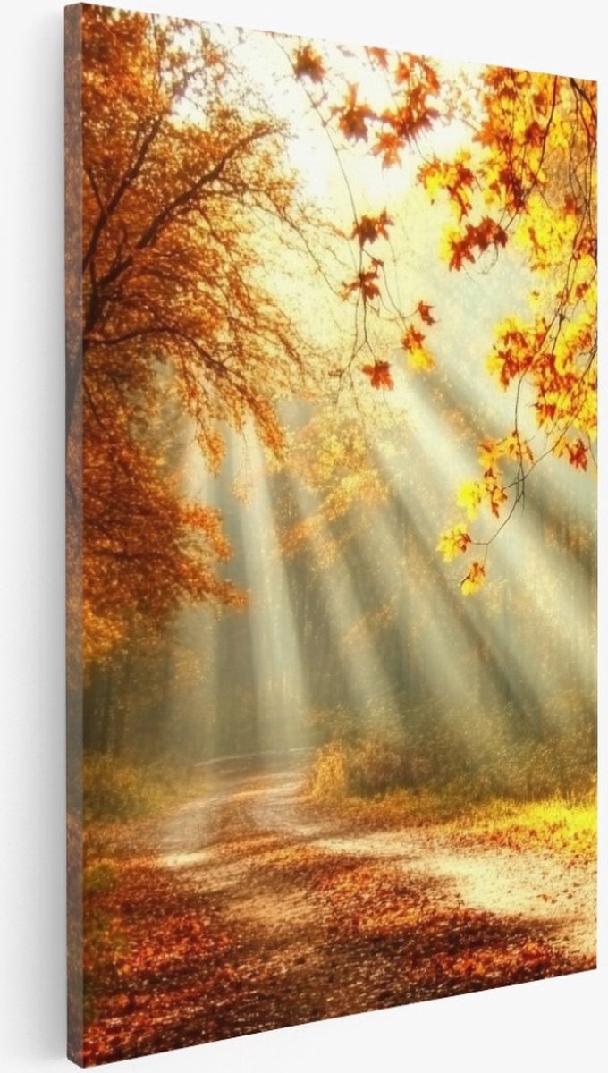 Saammp Canvas Schilderij - Botanisch - Zonneschijn - Herfstachtig - Landschap - Natuur - 60x90 - Foto op canvas - Wanddecoratie - Muurdecoratie Woonkamer - Slaapkamer decoratie - Canvas Print Multicolor
