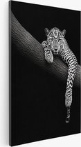 Saammp - Tableau sur toile - Panthère sur arbre - Nature - Animaux - 100x150 - Photo sur toile - Décoration murale - Décoration salon - Décoration chambre - Impression sur toile