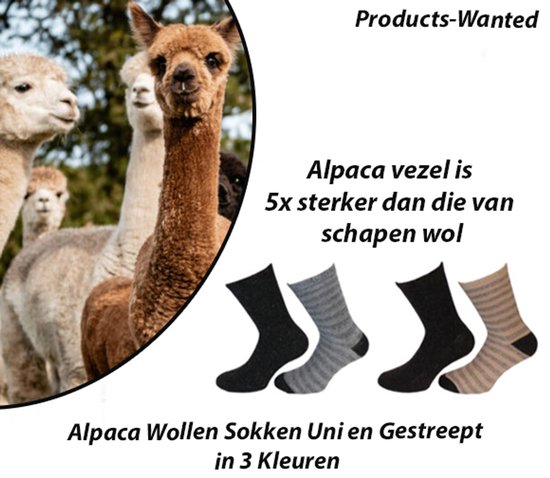 Un groupe d'alpagas et quatre chaussettes : deux unies noires et deux à rayures grises et beiges. Laine d'alpaga.