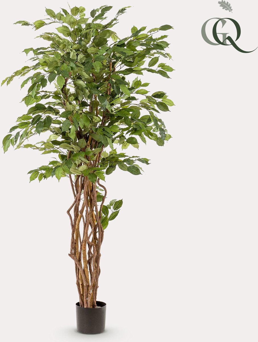 kunstplant - Ficus liana - Vioolbladplant - 170cm