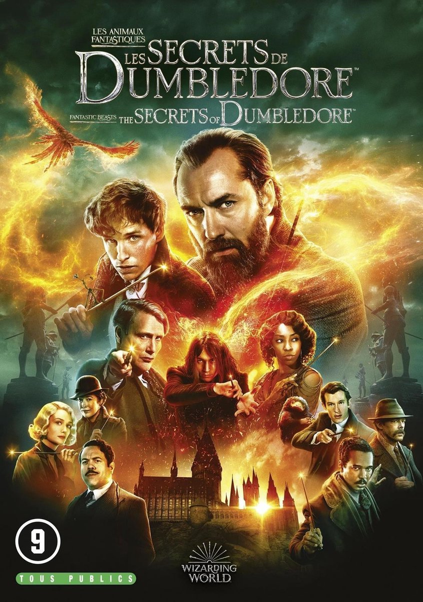 Fantastic Beasts - The Secrets Of Dumbledore (DVD)