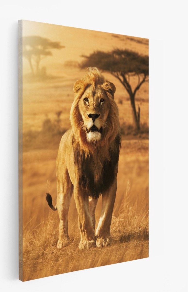 Saammp Canvas Schilderij - Leeuw in savanne - Afrika - Dieren - 50x70 - Foto op canvas - Wanddecoratie - Muurdecoratie Woonkamer - Slaapkamer decoratie - Canvas Print Multicolor
