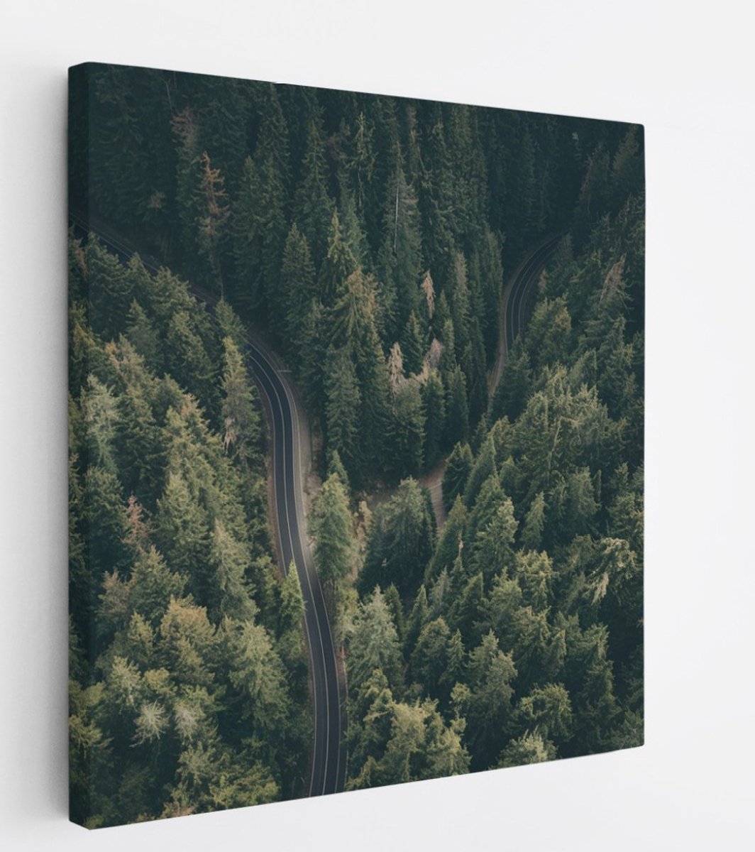Saammp Canvas Schilderij - Weg tussen de bomen door - Natuur - 30x30 - Foto op canvas - Wanddecoratie - Muurdecoratie Woonkamer - Slaapkamer decoratie - Canvas Print Multicolor