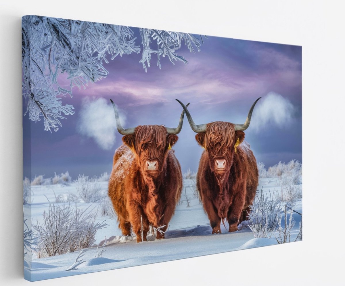 Saammp Canvas Schilderij Schotse Hooglander Koe in de mist - Dieren - Natuur - 40x30 - Foto op canvas - Wanddecoratie - muurdecoratie Woonkamer - Slaapkamer decoratie - Canvas Print Multicolor