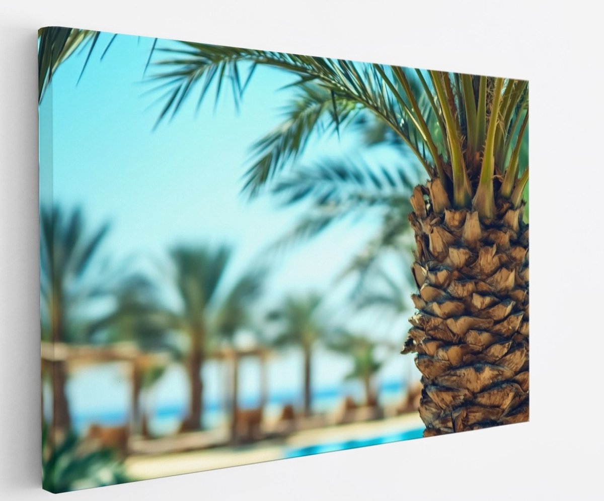 Saammp Canvas Schilderij - Natuur - Palmboom - landschap - 40x30 - Foto op canvas - Wanddecoratie - Muurdecoratie Woonkamer - Slaapkamer decoratie - Canvas Print Multicolor