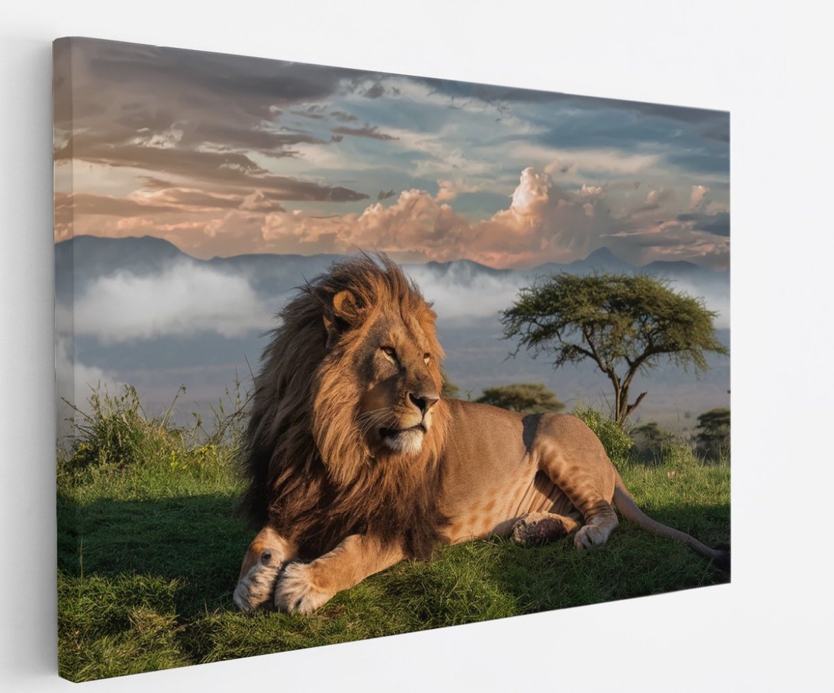 Saammp Canvas Schilderij - Leeuw bovenop een berg - Landschap - Dieren - Natuur - 45x30 - Foto op canvas - Wanddecoratie - Muurdecoratie Woonkamer - Slaapkamer decoratie - Canvas Print Multicolor