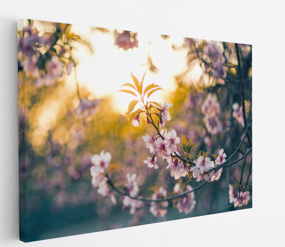 Saammp Canvas Schilderij - Bloemen in zonsopgang - Natuur - 40x30 - Foto op canvas - Wanddecoratie - Muurdecoratie Woonkamer - Kantoor Decoratie Multicolor