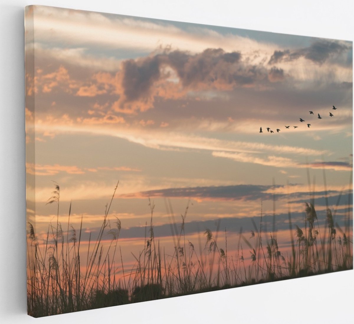 Saammp Canvas Schilderij -Vogels tijdens Golden hour - Zonsondergang - Landschap - Natuur - 30x20 - Foto op canvas - Wanddecoratie - Muurdecoratie Woonkamer - Slaapkamer decoratie - Canvas Print Multicolor