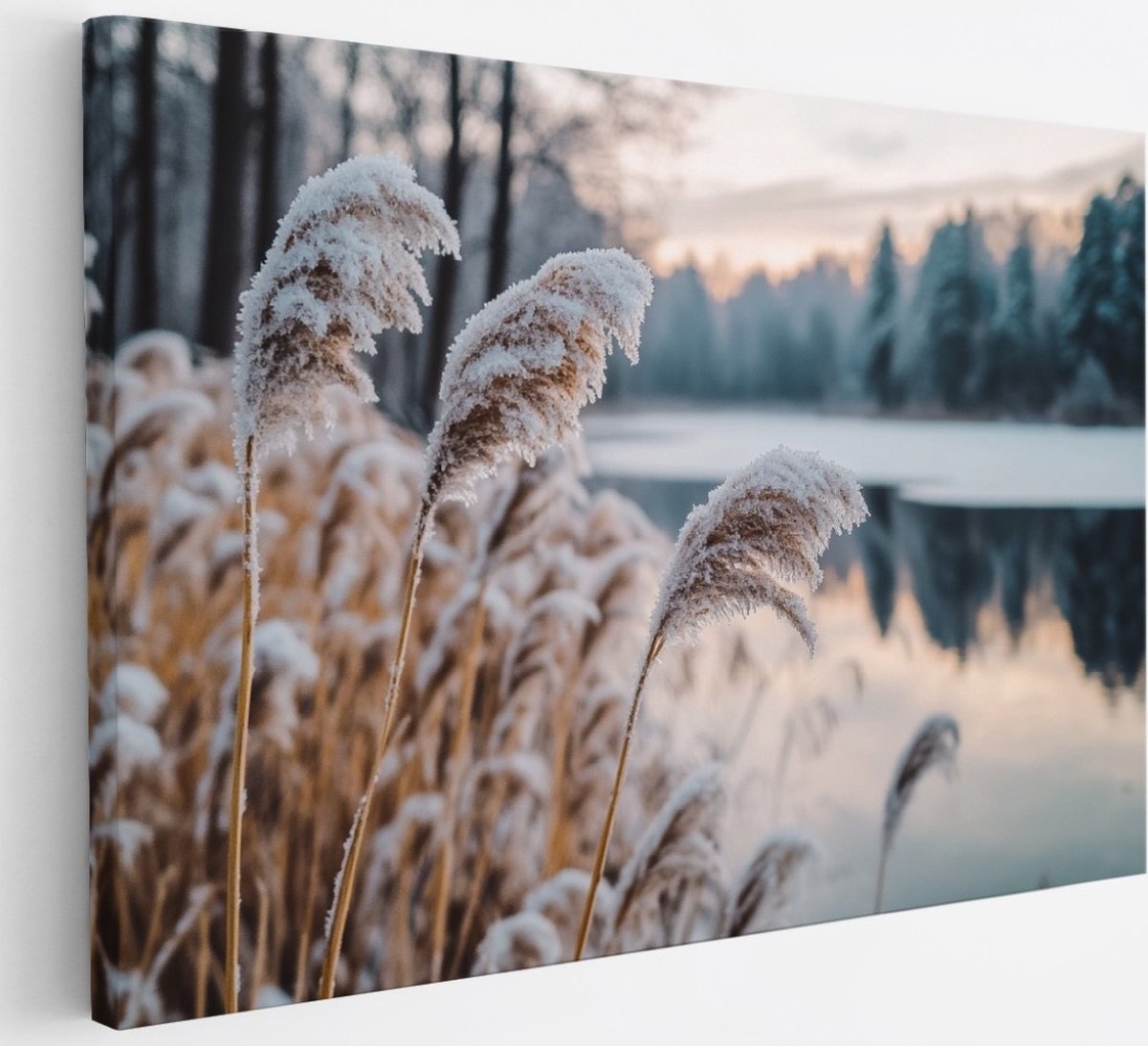 Saammp Canvas Schilderij - Natuur - Bevroren riet - landschap - 30x20 - Foto op canvas - Wanddecoratie - Muurdecoratie Woonkamer - Slaapkamer decoratie - Canvas Print Multicolor