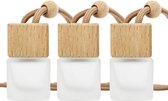Lot de 3 bouteilles en verre vides – Diffuseur d'arômes rechargeable, assainisseur d'air à suspendre pour voiture