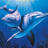 Diamond Painting Dolfijnen 30x30 (Volledige bedekking - Vierkante steentjes) dolfijn diamondpainting