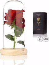 Luxe Roos in Glas met LED – Realistische Roos in Glazen Stolp – Moederdag - Cadeau voor vriendin moeder haar - Realistische Roos - Lichte Voet – Qwality