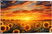 Tuinposter – Bloemen - Veld - Zonnebloemen - Zon - 90x60 cm Foto op Tuinposter (wanddecoratie voor buiten en binnen)