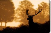 Painting King - Tableau sur toile Cerf dans la forêt - 30 x 20 cm