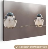 OneMillionCanvasses - Canvas schilderij - Vogel - Dieren - Natuur - Draad - Canvasdoek - 140x90 cm - Foto op canvas