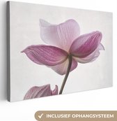 Canvas schilderij - Bloemen - Roze - Botanisch - Natuur - Foto op canvas - 60x40 cm - Schilderijen op canvas - Canvasdoek