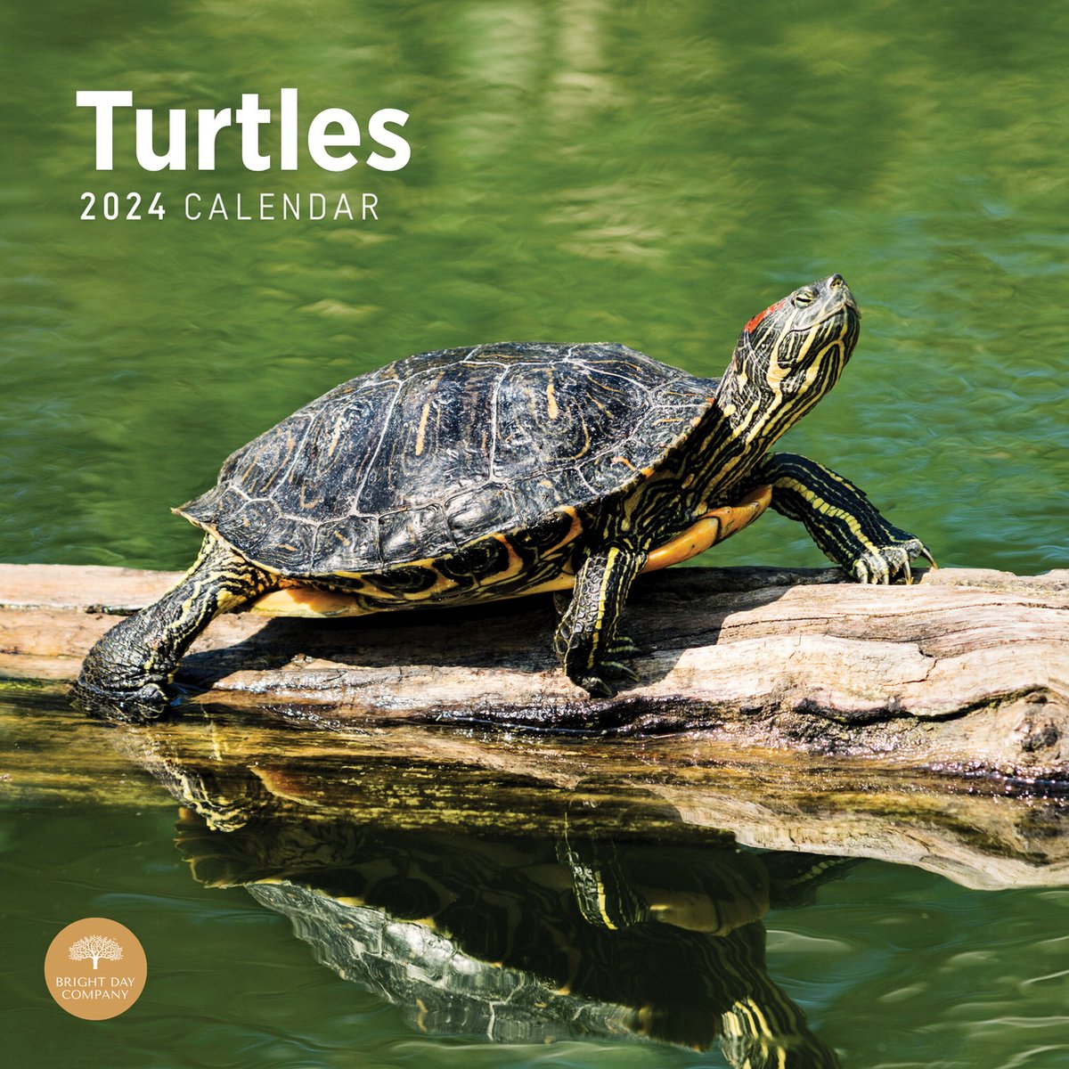 Schildpadden Kalender 2024
