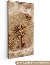 20 cm x 40 cm