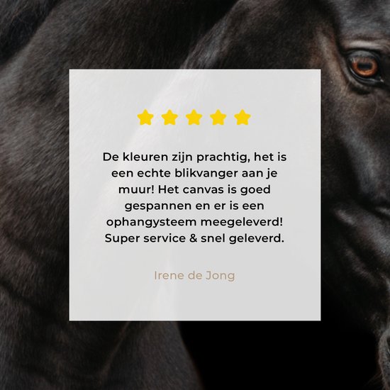 Tableau sur toile Cheval - Animaux - Zwart - Portrait - 20x30 cm - Décoration murale