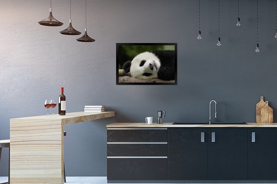 Panda endormi 60x40 cm