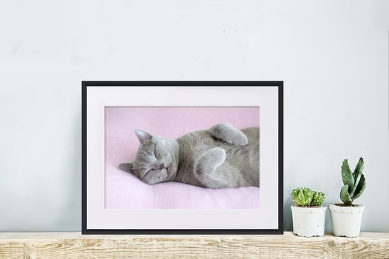 Chat gris dort sur un tapis rose 30x20 cm - petit