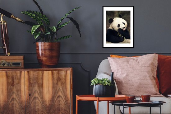 Manger panda 30x40 cm - petit