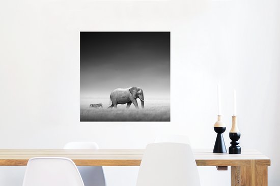Poster Éléphant - Animaux - Paysage - Zwart et Blanc - Zèbre - 50x50 cm