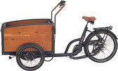 Bakfiets Airtour Family S