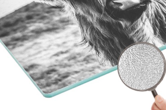 Planche à découper en Verres - 28x20 - Scottish Highlander - Nature - Vache - Zwart - Wit - Planches à découper en Glas