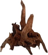 Bol.com Hs Aqua River Wood Xs 10-20 Cm aanbieding