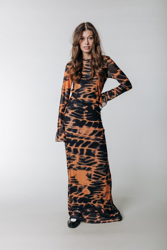 Colourful Rebel Maude Animal Mesh Maxi Dress - XS