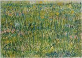 Grasgrond, Vincent van Gogh - Foto op Forex - 70 x 50 cm (B2)