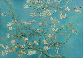 Amandelbloesem, Vincent van Gogh - Foto op Forex - 40 x 30 cm