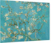 Amandelbloesem, Vincent van Gogh - Foto op Plexiglas - 60 x 40 cm