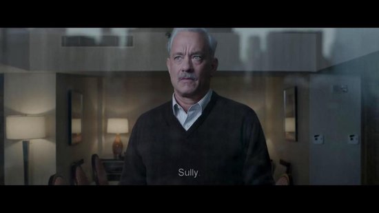 Sully (DVD)