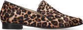 Clarks - Dames schoenen - Pure Viola - D - leopard - maat 5