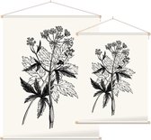 Physospermum Cornubiense zwart-wit (Cornish Bladder Seed) - Foto op Textielposter - 45 x 60 cm