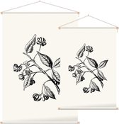 Kardinaalsmuts zwart-wit (Spindle Tree) - Foto op Textielposter - 40 x 60 cm