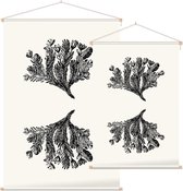 Minuartia Sedoides zwart-wit (Mossy Cyphel) - Foto op Textielposter - 40 x 60 cm