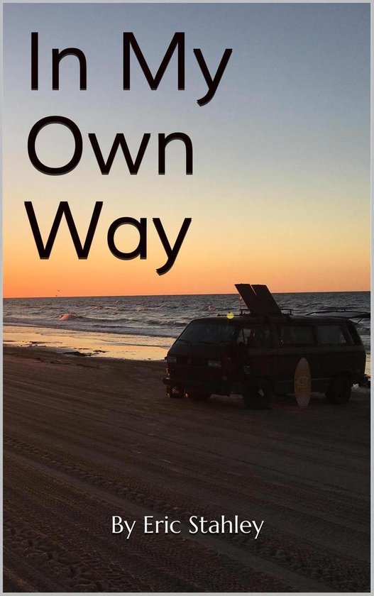 In My Own Way - cover