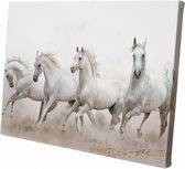 Witte paarden | 60 x 40 CM | Wanddecoratie | Dieren op canvas |Schilderij | Canvasdoek | Schilderij op canvas