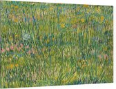 Grasgrond, Vincent van Gogh - Foto op Canvas - 60 x 40 cm