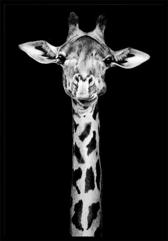 Dark Giraffe A4 zwart wit dieren poster | bol.com