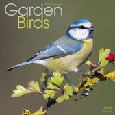 Garden Birds Kalender 2021
