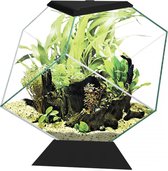 Ciano Aquarium nexus 14c Noir 35,4x41,8x36,8cm