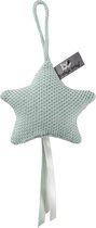 Baby's Only Decoratiester Classic - mint
