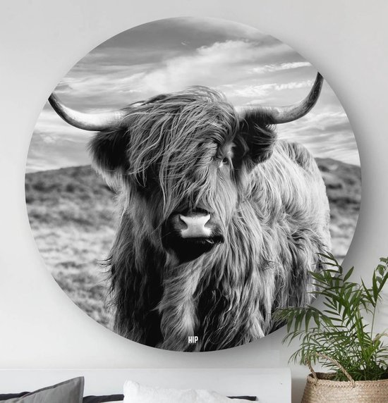 HIP ORGNL Schilderij Highlander - Schotse Hooglander koe - ⌀120cm - Wandcirkel dieren - Zwart wit